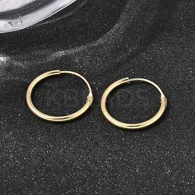 Brass Hoop Earrings EJEW-G474-01G-02-1