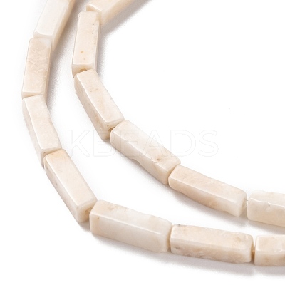 Natural Petrified Wood Beads Strands G-G837-20-1