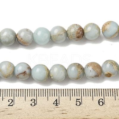 Natural Shoushan Stone Beads Strands G-B155-A01-8mm-1