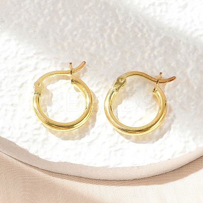 925 Sterling Silver Hoop Earrings STER-P047-13A-G-1