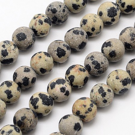 Natural Dalmatian Jasper Beads Strands G-D685-10mm-1