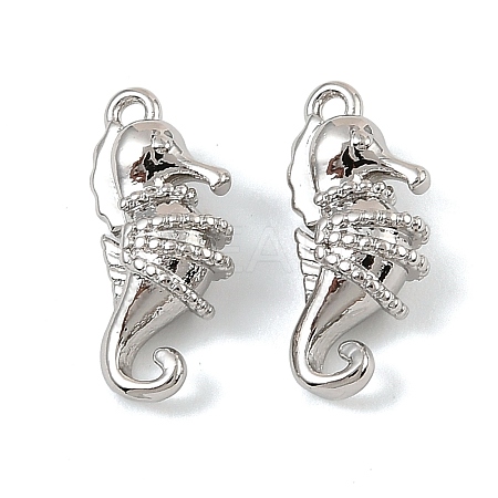 Brass Micro Pave Cubic Zirconia Charms KK-C155-23P-1
