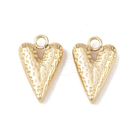 304 Stainless Steel Pendants STAS-A129-10G-1
