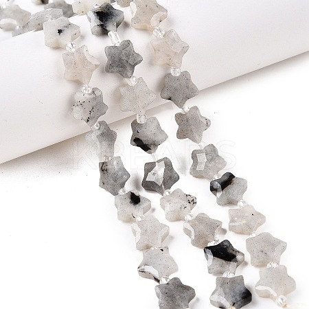 Natural Grey Labradorite Beads Strands G-T138-184-1