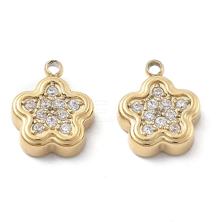 304 Stainless Steel Micro Pave Cubic Zirconia Charms STAS-Z121-46G-1