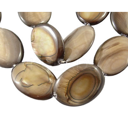 Natural Shell Beads Strands X-PBB250Y-5-1
