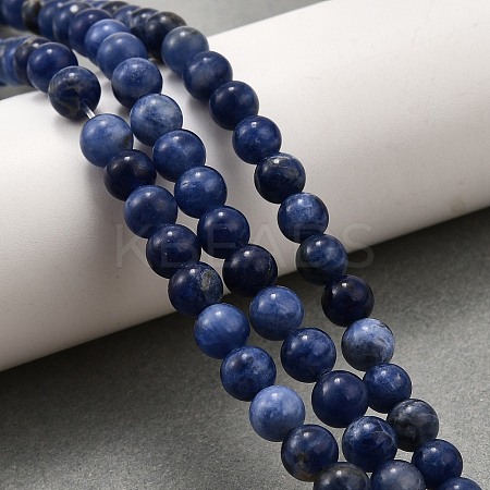 Natural Sodalite Round Bead Strands G-P072-27-6mm-1