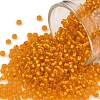 TOHO Round Seed Beads X-SEED-TR11-0030F-1