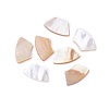 Shell Cabochons SSHEL-L012-03A-1