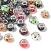 100Pcs Large Hole Dog Paw Prints Pattern Resin European Beads OPDL-YW0001-06-1