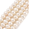 Natural Cultured Freshwater Pearl Beads Strands PEAR-C003-13F-2