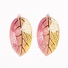 Rainbow Color Resin Pendants RESI-WH0008-31D-2