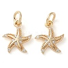 Rack Plating Brass Micro Pave Clear Cubic Zirconia Charms KK-D097-04G-1