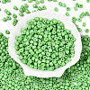 Opaque Baking Paint Glass Seed Beads SEED-T008-02Q-2