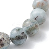 Natural Larimar Round Beads Stretch Bracelets for Women Men BJEW-JB13382-01-4
