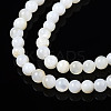 Natural Freshwater Shell Beads Strands X-BSHE-T009A-01A-4