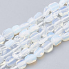 Opalite Beads Strands G-S339-24-1