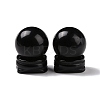 Natural Obsidian Display Decorations DJEW-G032-02F-1