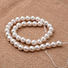 Polished Round Grade A Shell Pearl Bead Strands X-BSHE-M027-10mm-28-2