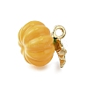 Alloy Enamel Charms ENAM-D303-07G-05-2