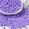 6/0 Opaque Baking Paint Glass Seed Beads X1-SEED-M012-02A-09-1