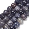 Natural Iolite Beads Strands X-G-G300-A04-8mm-2