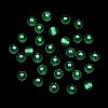 FGB Grade A Transparent Glass Seed Beads SEED-Q040-03A-04-5