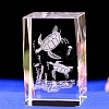 3D Inner Carved Sea Animal Glass Ornaments PW-WG881A2-01-1