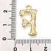 304 Stainless Steel Pendants STAS-N117-01G-F-3