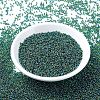 MIYUKI Round Rocailles Beads X-SEED-G007-RR0344-3