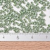 MIYUKI Delica Beads SEED-J020-DB2310-4