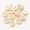 Brass Micro Pave Cubic Zirconia Charms ZIRC-R015-105G-1