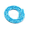 Natural Freshwater Shell Beads Strands SHEL-N003-33-A03-2