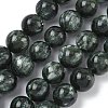 Natural Seraphinite Beads Strands G-C270-O01-13-2