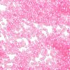 Transparent Colours Glass Seed Beads SEED-H003-01F-3