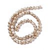 Drawbench Style Natural Freshwater Shell Beads Strands SHEL-F003-10B-3