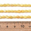 Dyed Natural Freshwater Shell Beads Strands SH-CBA2978-06B-4