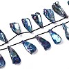 AB Color Plated Dyed Natural Freshwater Shell Beads Strands X-SHEL-T020-55C-1