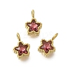 304 Stainless Steel Micro Pave Cubic Zirconia Charms STAS-U027-02G-02-1