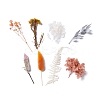 Dried Flowers DIY-D052-24-2