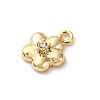 Brass Micro Pave Cubic Zirconia Charms LS-KK-D371-04A-G-2