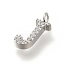 304 Stainless Steel Micro Pave Cubic Zirconia Pendants STAS-H228-06P-J-2