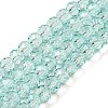 Transparent Baking Paint Glass Beads Strands DGLA-A034-T6mm-D01-1