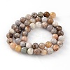 Natural Bamboo Leaf Agate Round Bead Strands G-M248-10mm-04-3