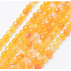 Natural Agate Beads Strands X-G-E469-12N-1