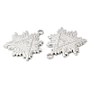 Non-Tarnish 304 Stainless Steel Pendants STAS-Z041-22P-2