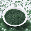 MIYUKI Round Rocailles Beads X-SEED-G007-RR0146F-2