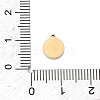 304 Stainless Steel Micro Pave Cubic Zirconia Charms STAS-I356-04G-01-3