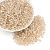 Glass Seed Beads SEED-N007-01I-1