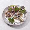 Gorgecraft Succulent Micro Landscape Dollhouse Ornaments DJEW-GF0001-55-5